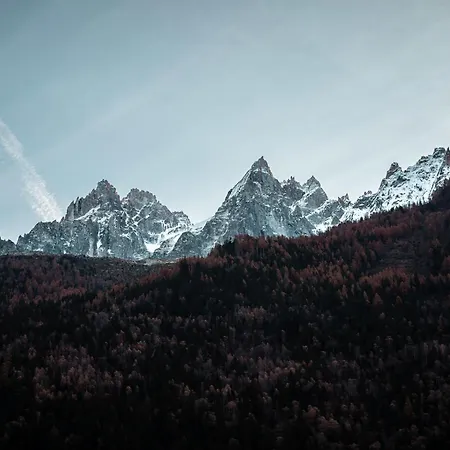 Vertice - Center Mont-blanc View Lejlighed *