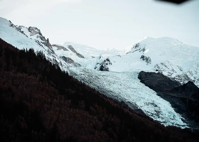 Vertice - Center Mont-blanc View * シャモニー